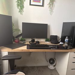 ASUS 260Hz 1440p Gaming Monitor 