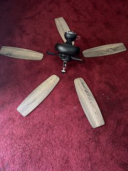 Ceiling fan