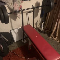 Weight Bench Red And Black With 100 Lbs In Weight 