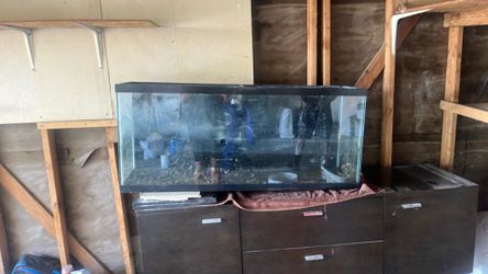 90 gallon fish tank