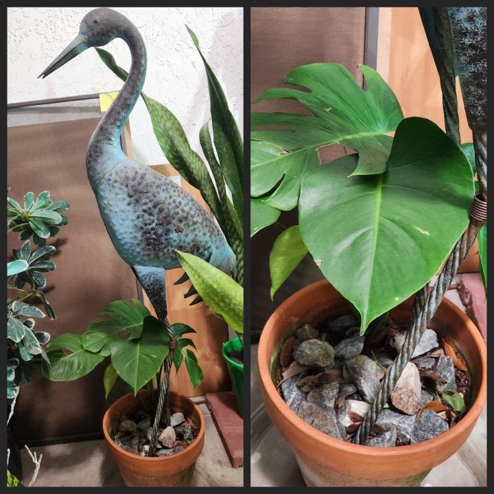 Monstera Plant With π¦ Bird Statue In Ceramic Pot. $45 Or Best Offer