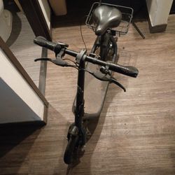 Electric Scooter 