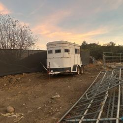 80s Style Trailer Straight Load Horse Trailer Farm Live Stock Trade Or Sale