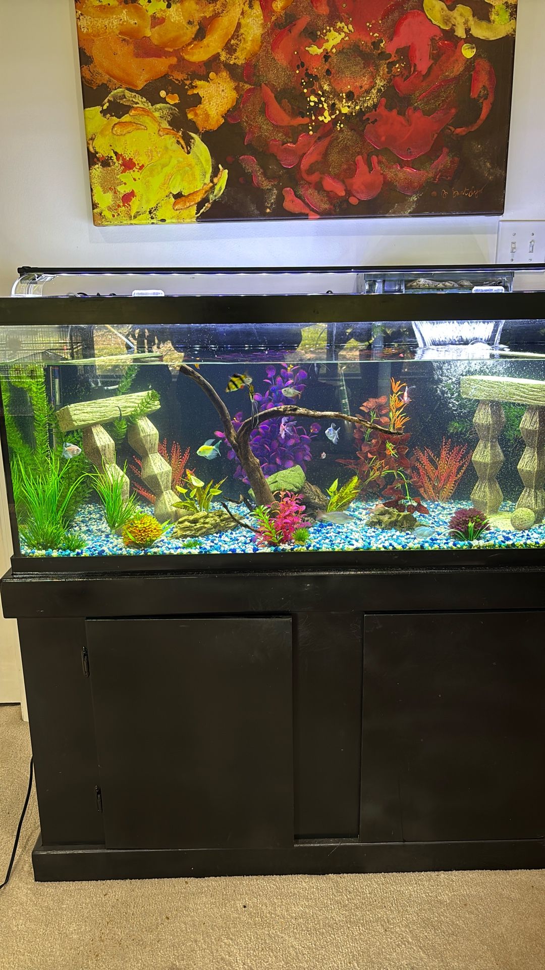 75 Gallon Aquarium