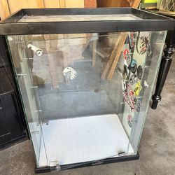 Display Glass Case. 