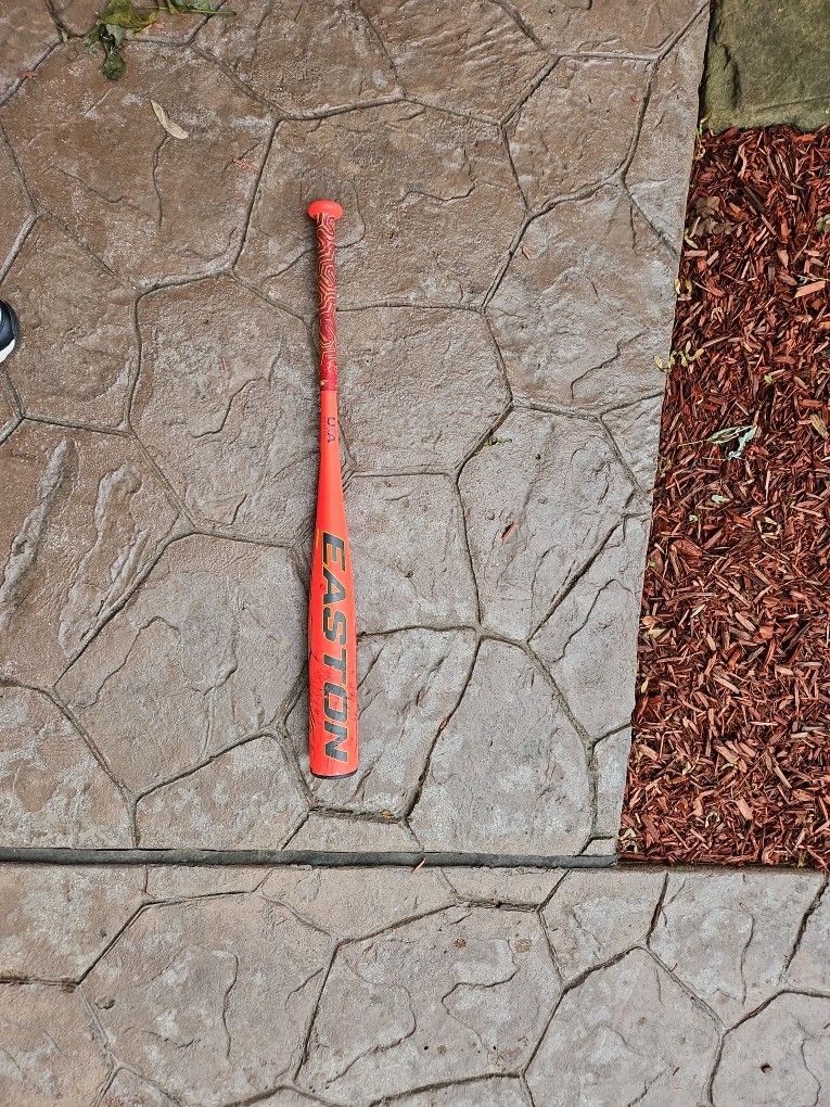 Easton Ghost Baseball Bat