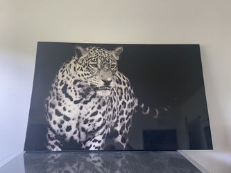 Leopard Wall Frame