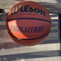 Evolution Basketball Size: 7.0