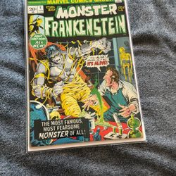 The Monster Of Frankenstein 
