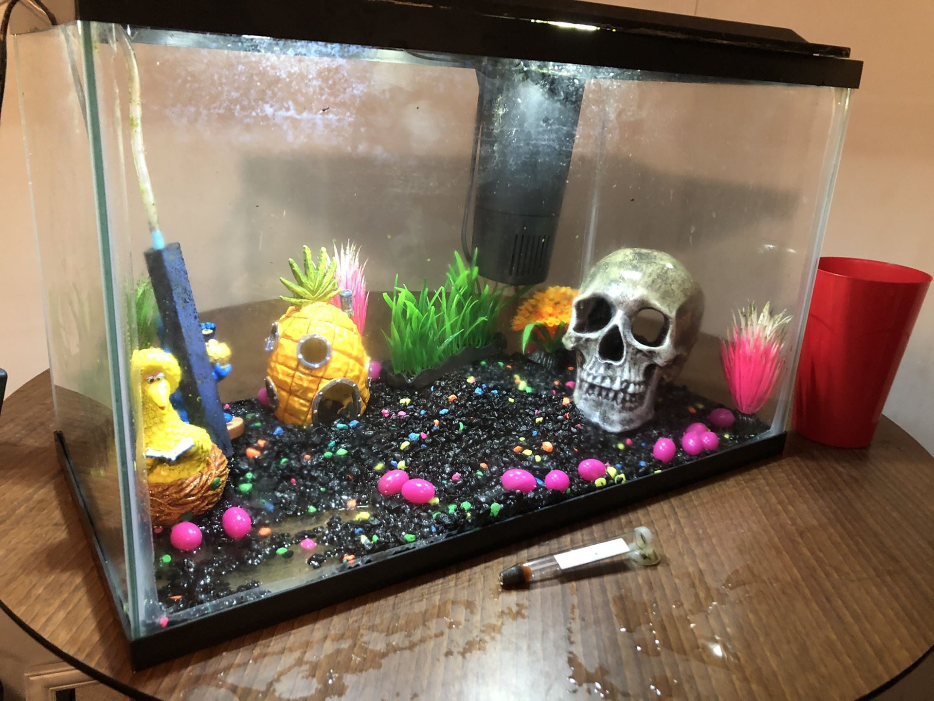 Fish Tank 10 gallon