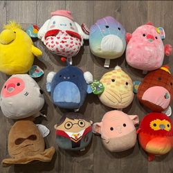 Lot of 12 various squishmallow, 8” inches 