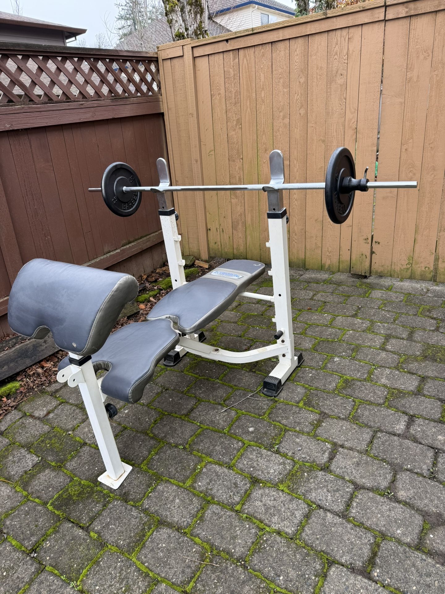 Weight Bench