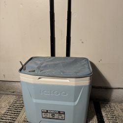 Camping Cooler