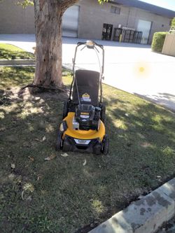 DeWalt Gas-Powered Walk-Behind Lawn Mower