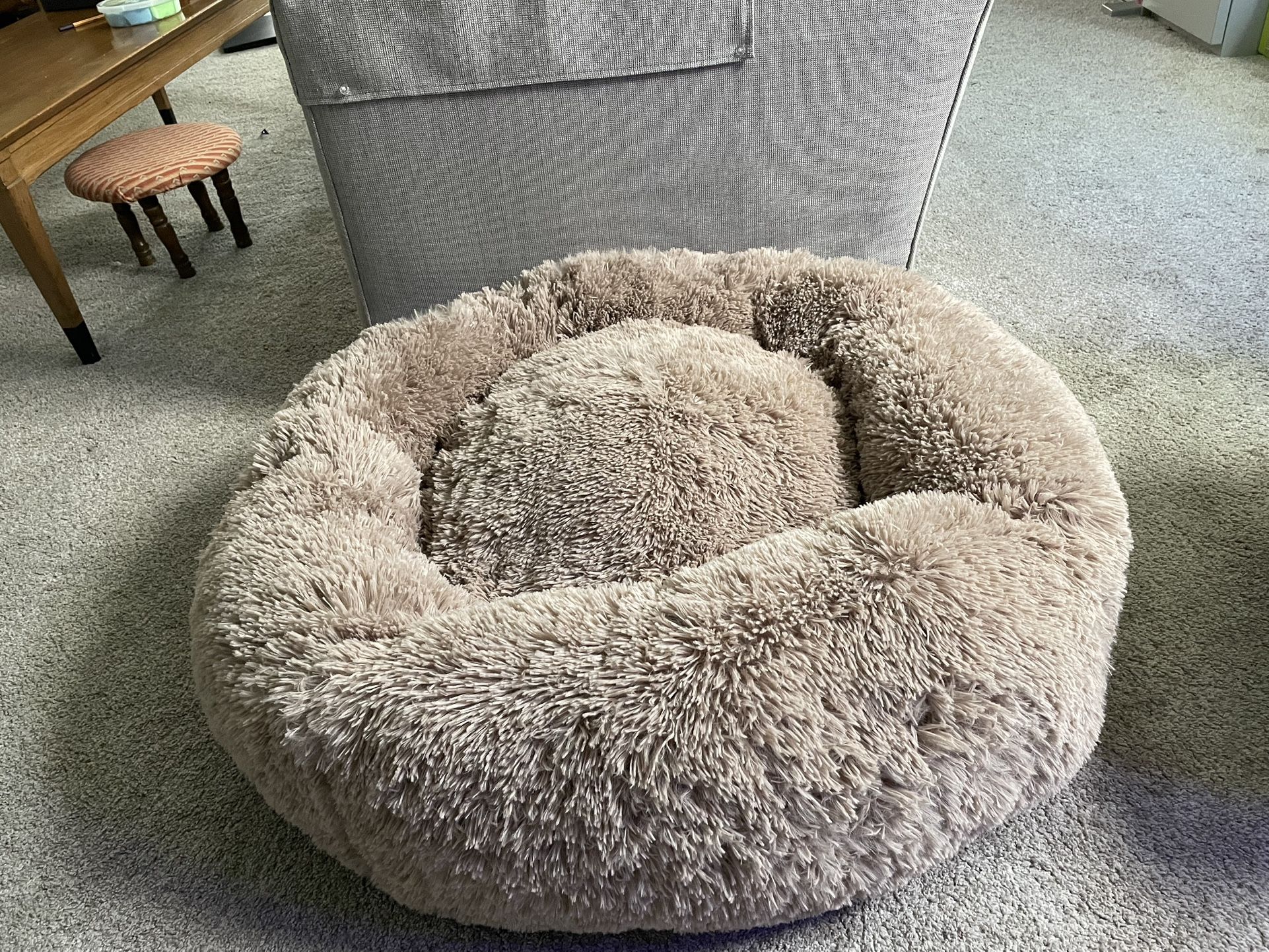 Dog Bed - New