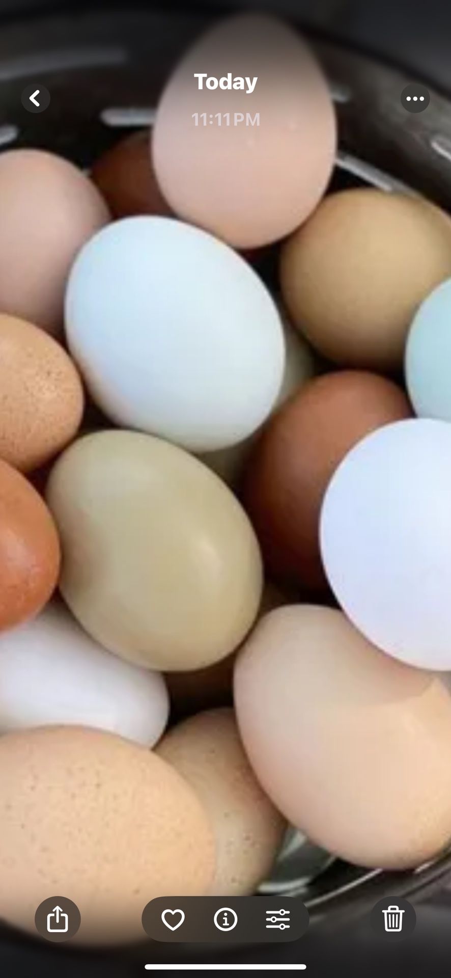 Organic Fresh Eggs