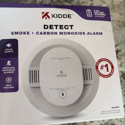 Detect Smoke Carbon Monoxide Alarm 