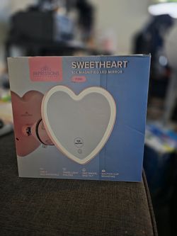 Heart mirror