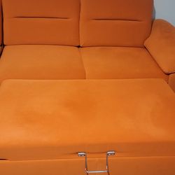 Beautiful Pull Out Couch