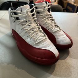 Jordan Cherry 12 Shoe Size 9.5 Wow! 🔥