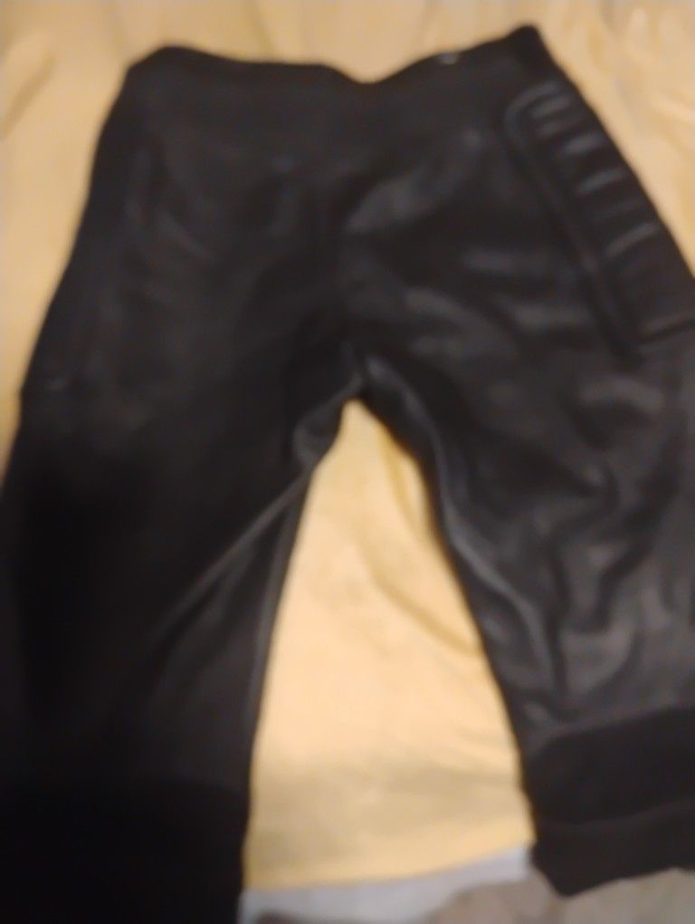 Leather Riding Pants