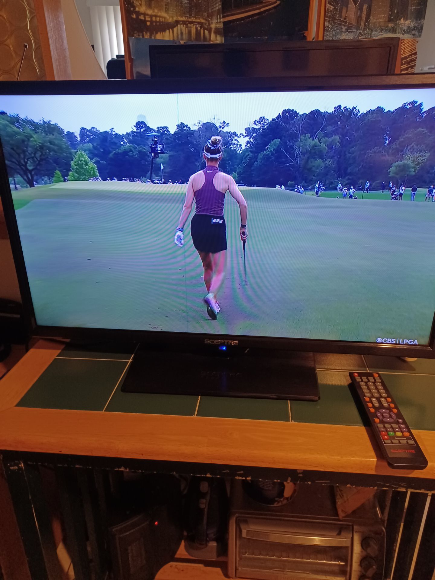 Sceptre 32-Inch Digital Flat-screen TV/Monitor with Remote