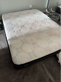 Queen Sealy Mattress