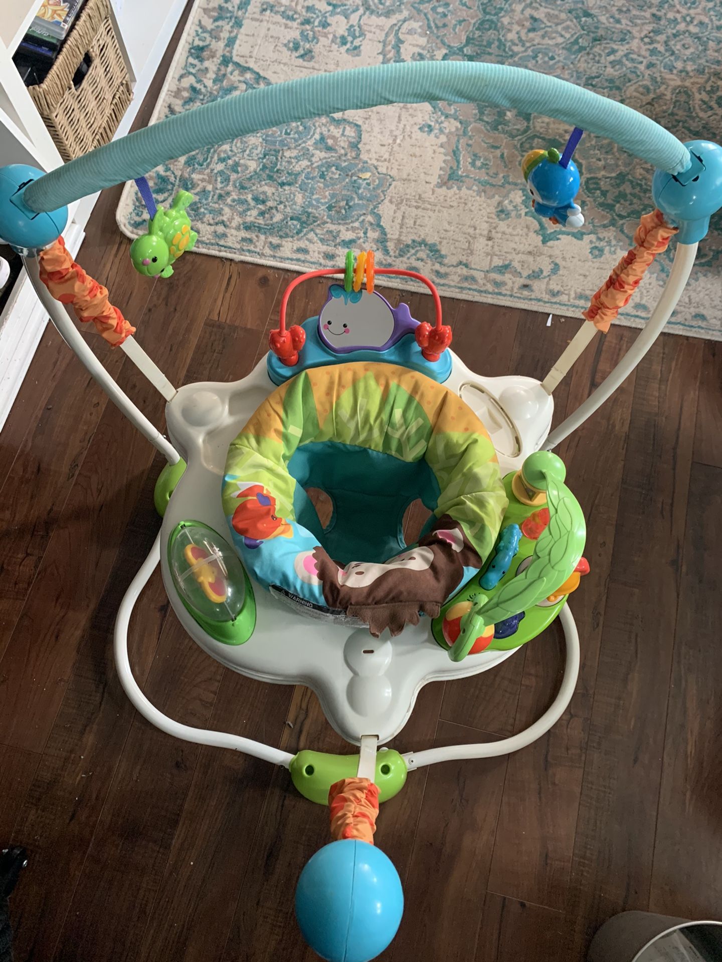 Fisher Price Baby Swivel Bouncer Jumper