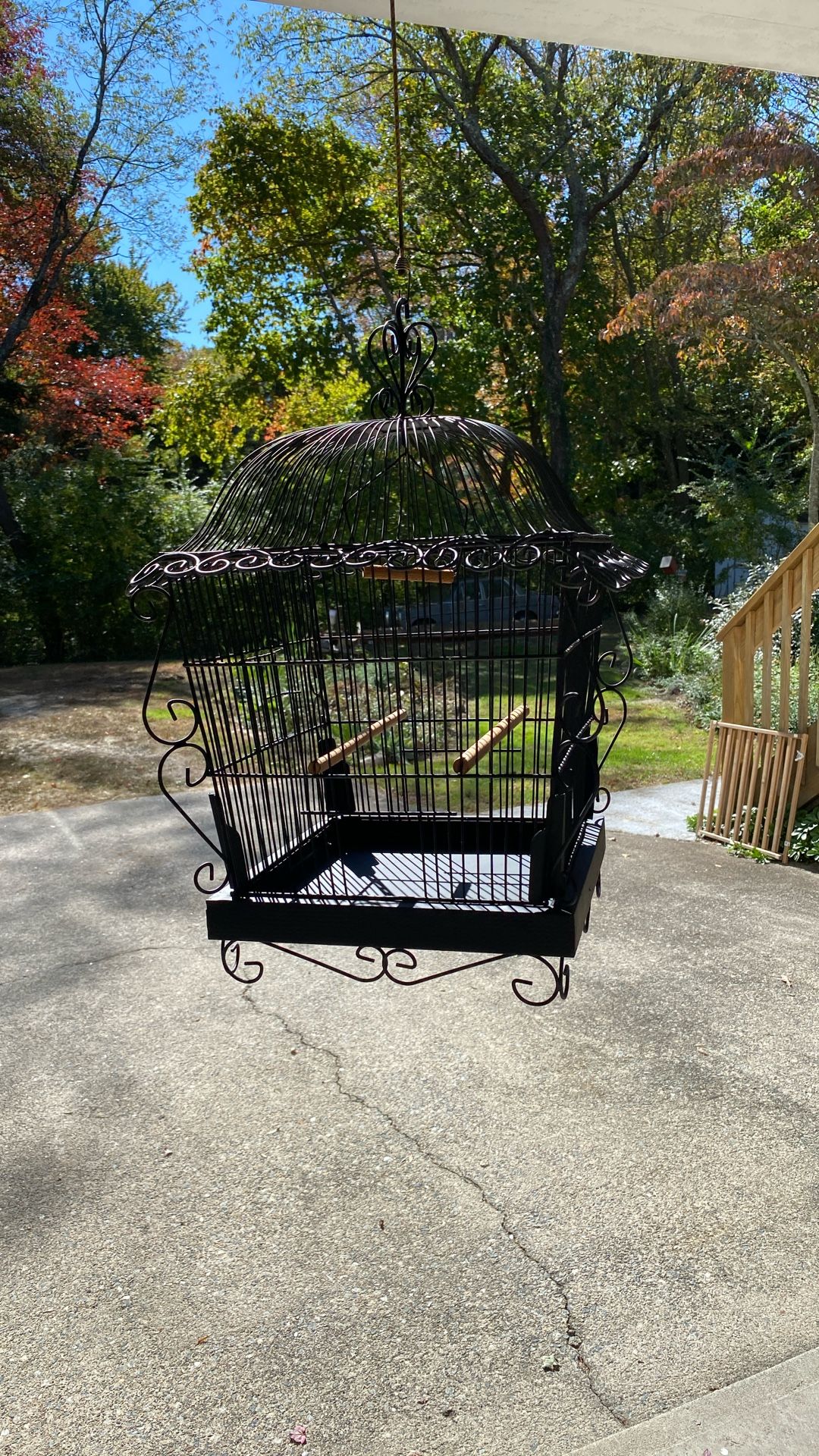 Bird Cage