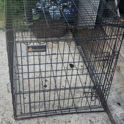 Dog Cage 