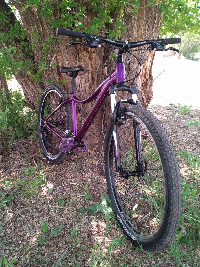 Trek Skye