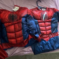 Spider-Man Customs