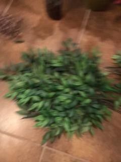 Make Offer