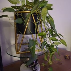 Small Plant Stand
