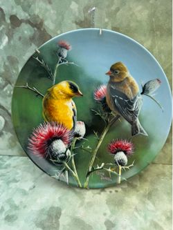 THE GOLDFINCH Plate  Britannica Birds of Your Garden #8 Kevin Daniel