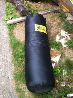 everlast punching bag