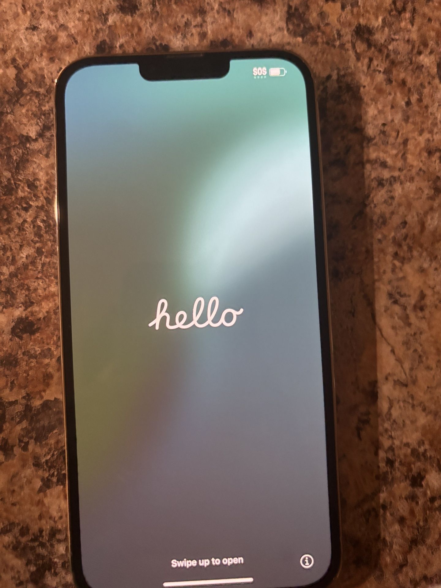 iPhone 13 Pro Max