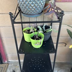 plant stand 