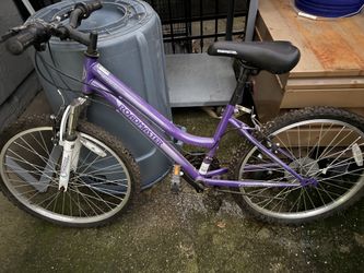 24” Girls Mountain Bike