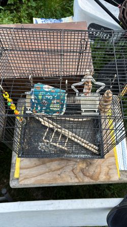 Bird cage