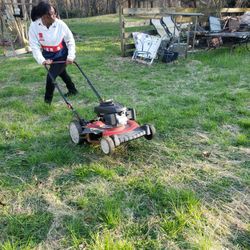 Landscape and help needed