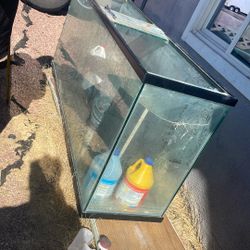 Fish Tank 