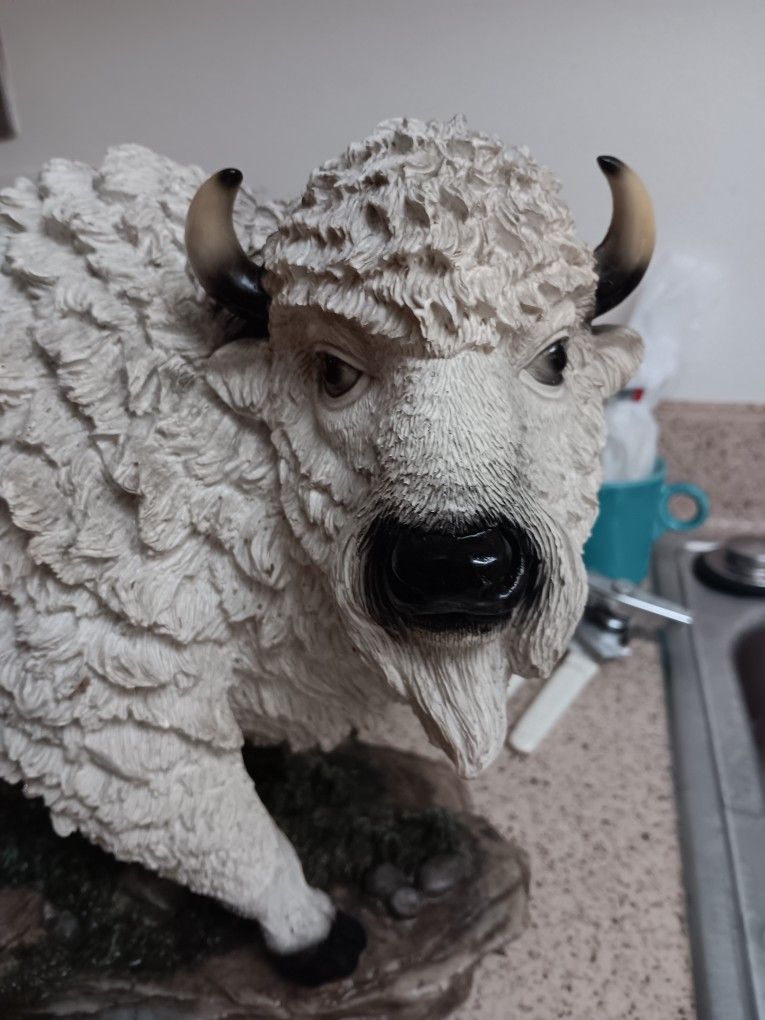 White Buffalo Staute 80s