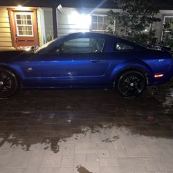 2005 Ford Mustang