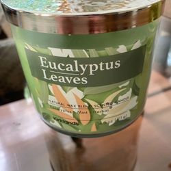 Kirkland's 14.5 oz Large Jar 3-Wick Candle Natural Wax New EUCALYPTUS LEAVES