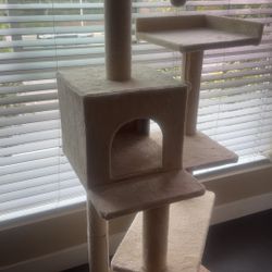 Cat Tower