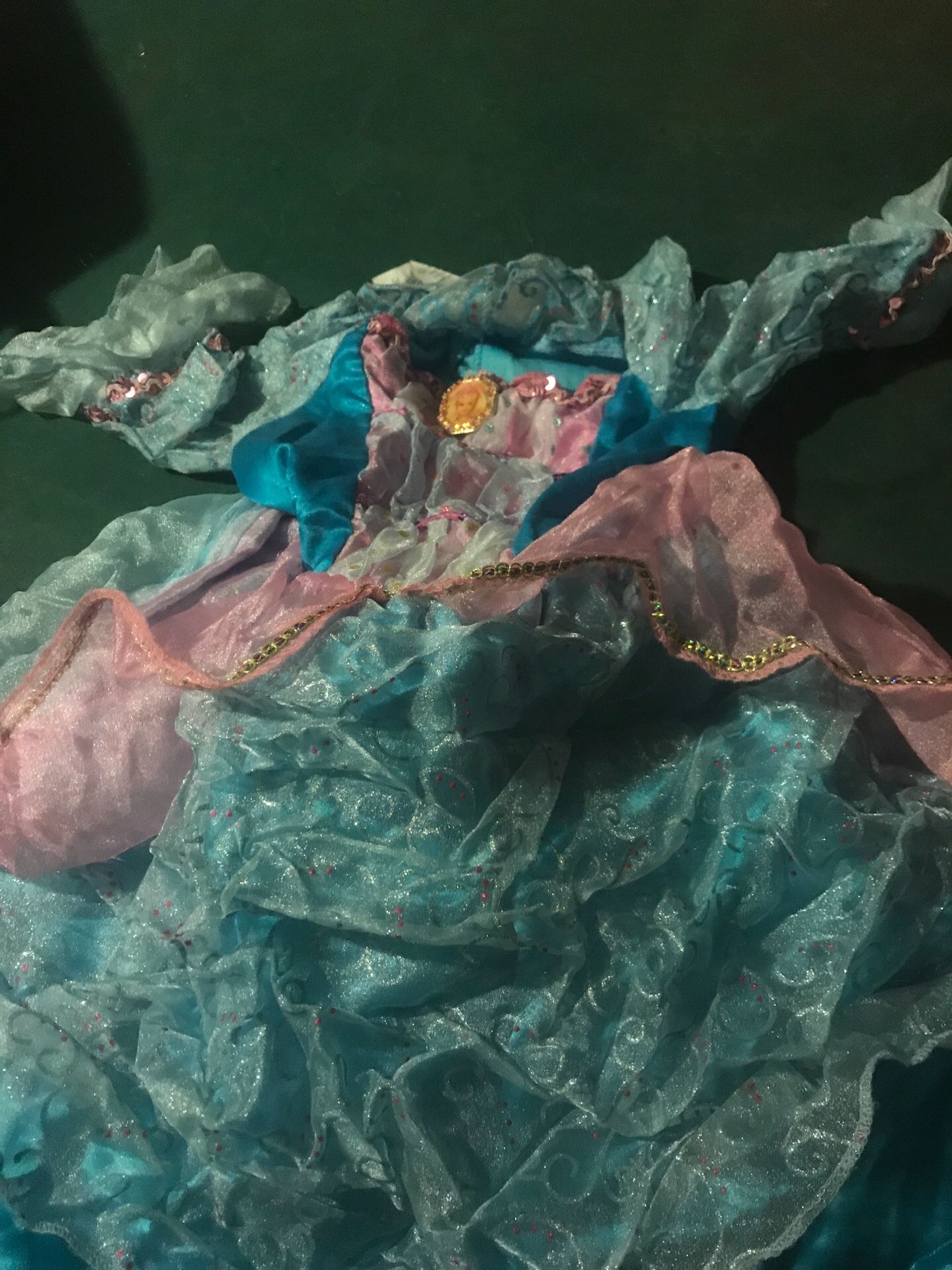 Barbie Princess Costume