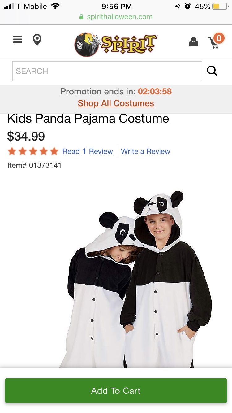 Panda onesie and panda head costume