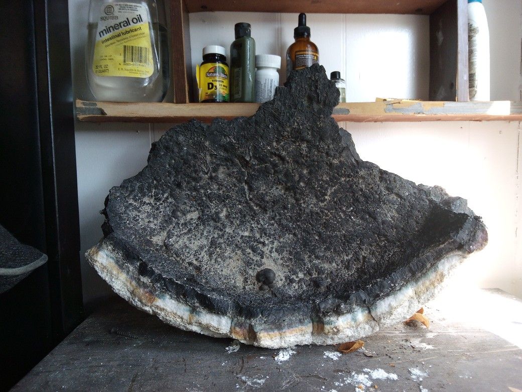 Huge/Extra Large Raw Uncut Blue Ice Glacierite Agate/Nakauriite Specimen (67 Lbs)