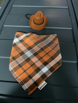 Cowboy hat/scarf for dog